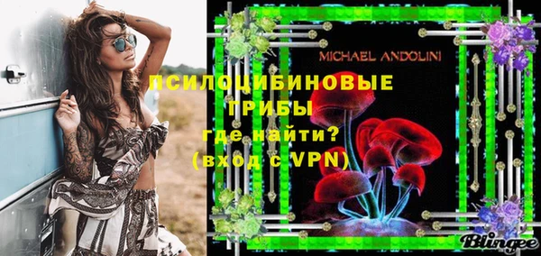 индика Абдулино