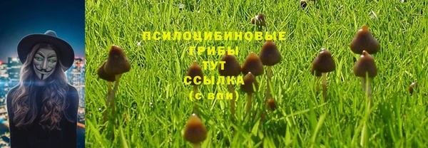 индика Абдулино