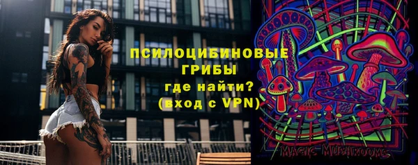 спиды Алексин