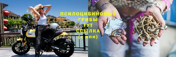 каннабис Абаза